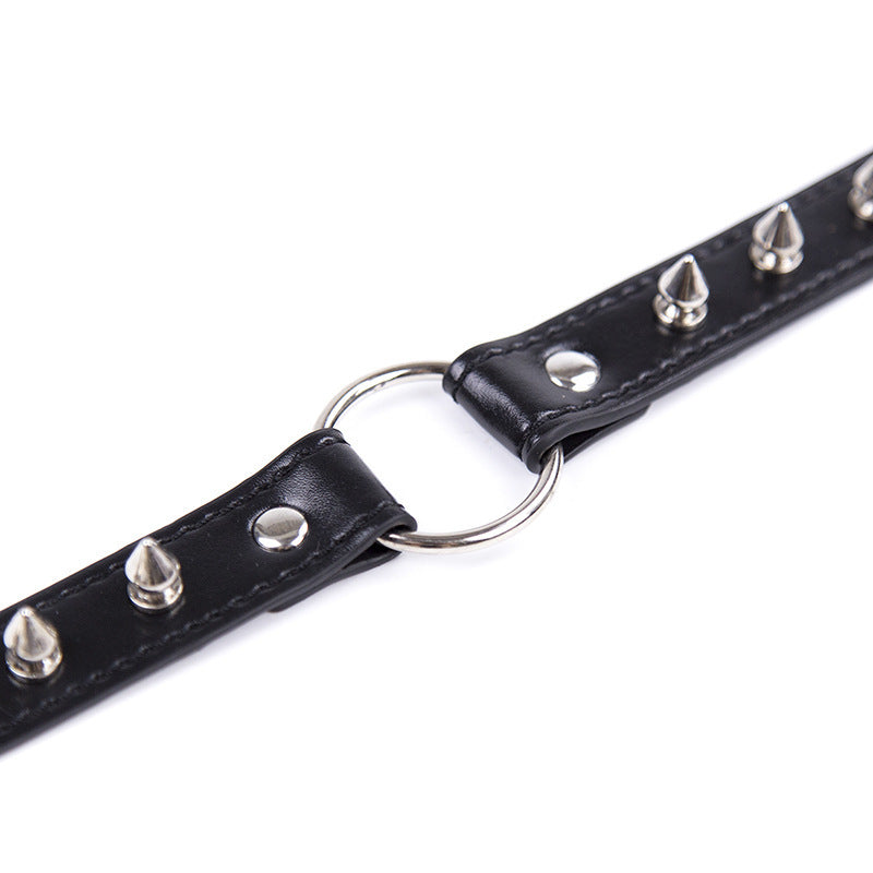 PU Tip Dog Leash Collar